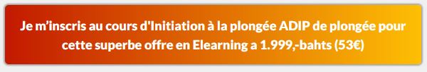 ADIP E learning a développé pour les débutants des formules intensives en E-learning pour devenir un pro de la plongée en elearning!