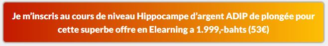 ADIP E learning a développé pour les débutants des formules intensives en E-learning pour devenir un pro de la plongée en elearning!