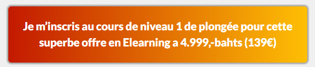 ADIP E learning a développé pour les débutants des formules intensives en E-learning pour devenir un pro de la plongée en elearning!