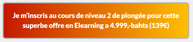 ADIP E learning a développé pour les débutants des formules intensives en E-learning pour devenir un pro de la plongée en elearning!