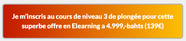 ADIP E learning a développé pour les débutants des formules intensives en E-learning pour devenir un pro de la plongée en elearning!
