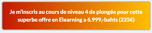 ADIP E learning a développé pour les débutants des formules intensives en E-learning pour devenir un pro de la plongée en elearning!