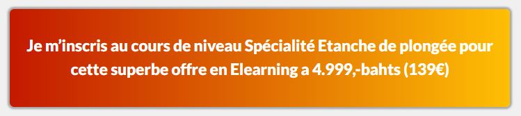 Devenir Niveau Specialité étanche  ADIP en plongée sous-marine avec plongée scuba e-Learning ADIP niveau Specialité étanche , formation à la plongée en ligne ADIP avec Plongée Asie, le centre elearning ADIP de plongée 5 étoiles Dive Académy Thailand Diving Pattaya Thaïlande Asie, e Learning ADIP niveau Specialité étanche 