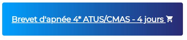 ÉCOLE de Formation apnée CMAS, padi et adip POUR TOUS LES APNÉISTE, Brevet d'apnée 4* ATUS/CMAS
