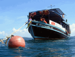 Plongée Asie Koh Chang, Centre de plongée à Koh Chang, Plongée à Koh Chang avec Plongée Asie, Expérience de plongée à Plongée Asie, Formation de plongée à Koh Chang, Moniteurs de plongée à Koh Chang, Certifications de plongée à Koh Chang, Excursions de plongée à Koh Chang,Aventure sous-marine à Koh Chang, Plongée à la jetée de Bang Bao, Plongée en Thaïlande avec Plongée Asie, Réserve marine de Koh Chang, Plongée responsable à Koh Chang, Plongée pour débutants à Koh Chang, Plongée avancée à Koh Chang, Vie marine de Koh Chang, Références de plongée à Plongée Asie, Équipement de plongée à Koh Chang, Hospitalité thaïlandaise à Plongée Asie, Réservez votre plongée à Koh Chang avec Plongée Asie
