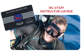IDC Staff padi