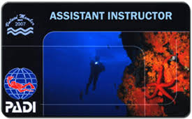 Assistant Instructeur padi