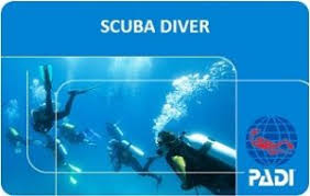 padi Scuba Diver