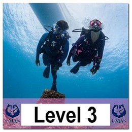 Level 3 course training Level 3 course training