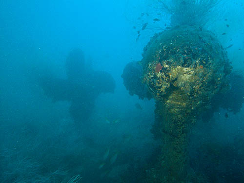 The Seacrest Drill Ship a.k.a 'The Scan Queen'