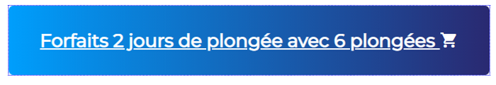 Forfaits 2 jours de plongée avec 6 plongées