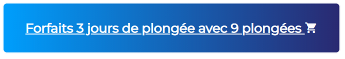Forfaits 3 jours de plongée avec 9 plongées