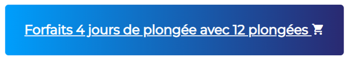 Forfaits 4 jours de plongée avec 12 plongées