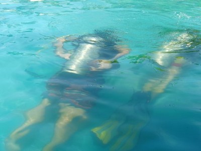 decouverte de la plongee en thailande