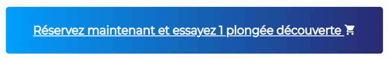 Réservez maintenant et essayez 1 plongée découverte