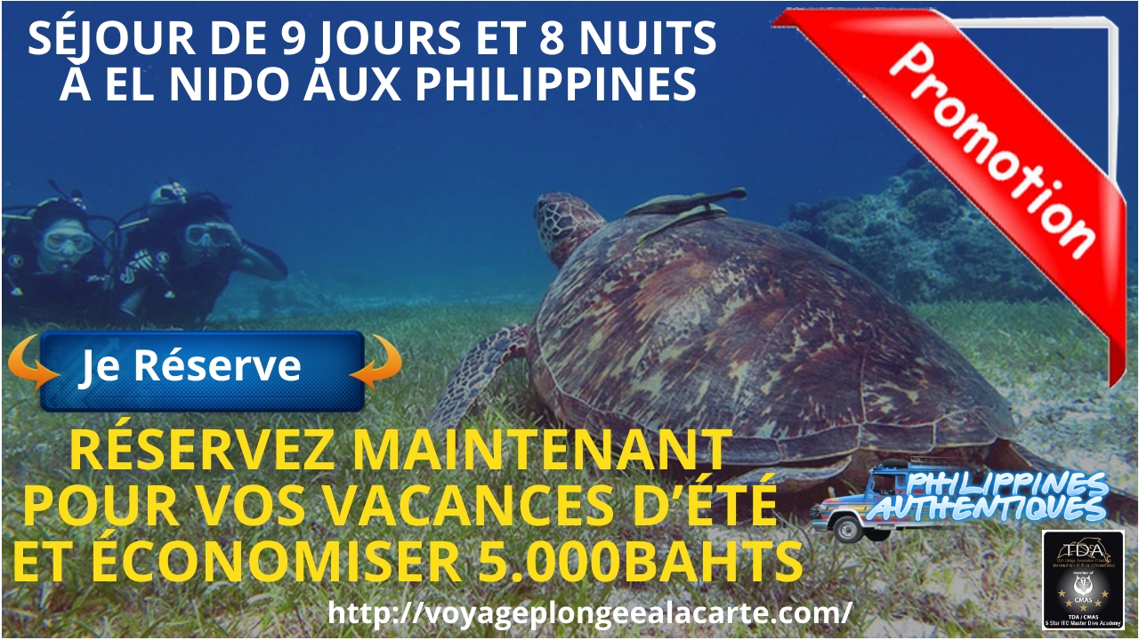 SÉJOUR DE 9 JOURS ET 8 NUITS À El Nido